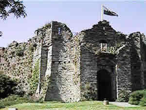 Oystermouth Castle