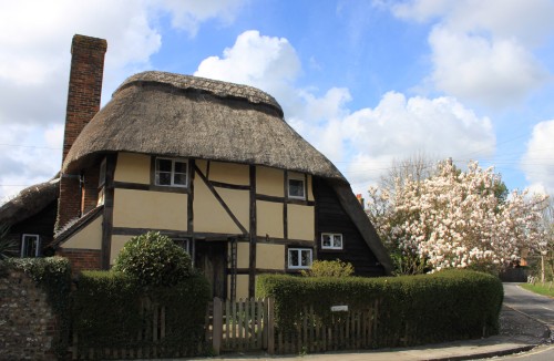 Saxon Cottage in Steyning
This pretty timber-framed house, now run by the National Trust as a holiday cottage, was built in around 1550. Its new residents would have overlooked the burning of Launder on Chantry Green.