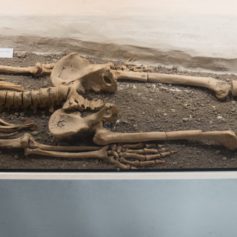 Steyning Man Steyning Man